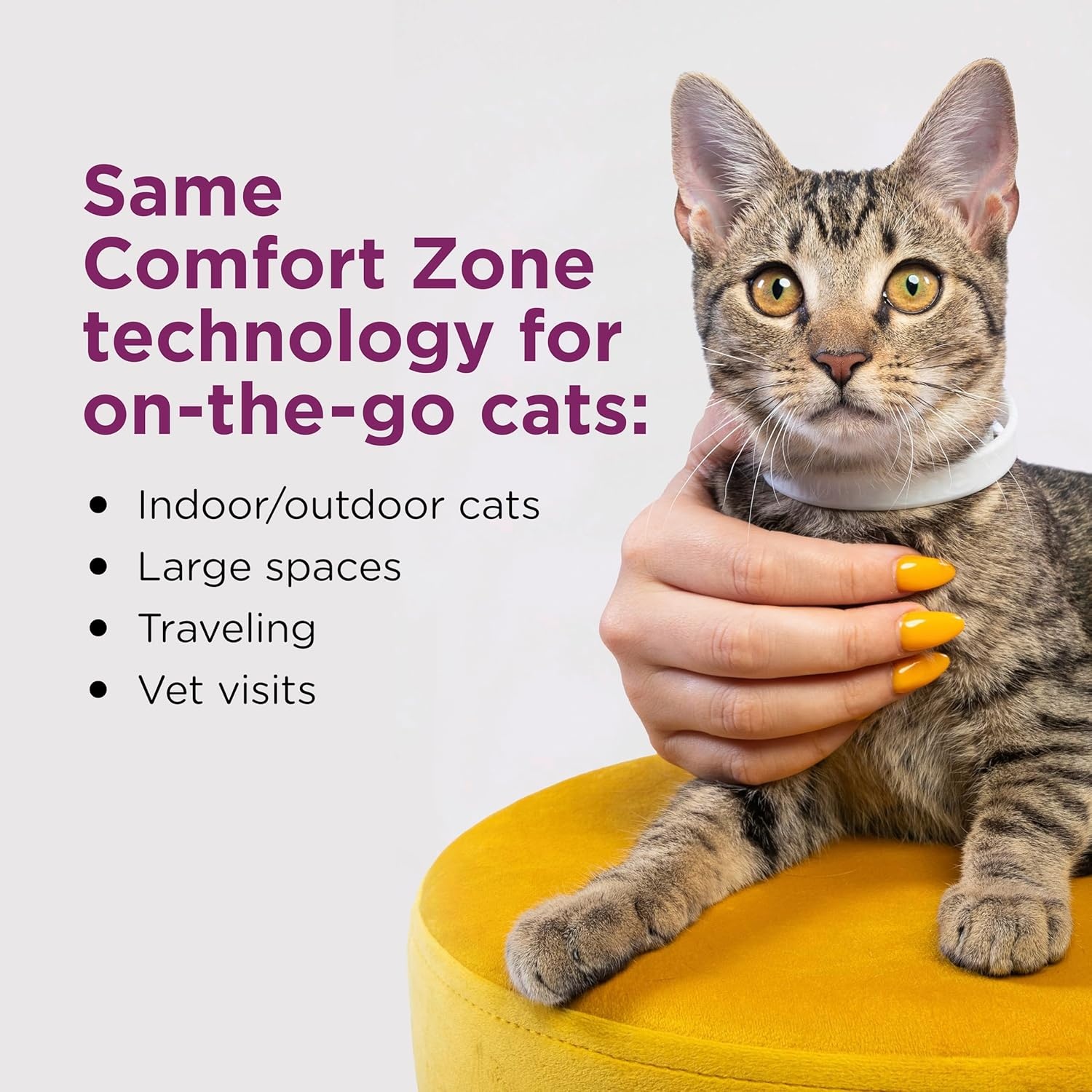 image:imageComfort Zone Cat Calming Collar 1 30Day Calming Collar Cat Pheromones Help Anxiety Reduce Stress Urine Marking Scratching Indoor or Outdoor Cats LongLastingSingle Pack