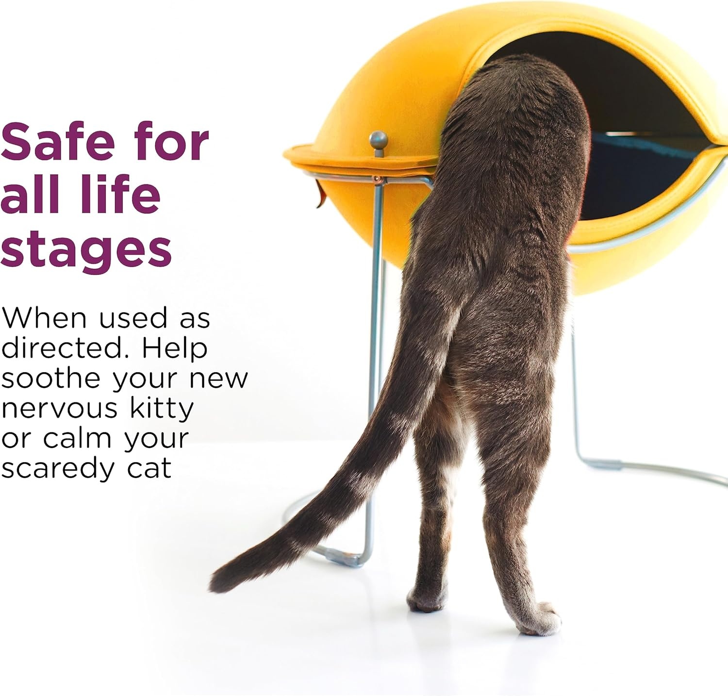 image:imageComfort Zone Cat Calming Pheromone Spray Value Size 4 oz Proven to Reduce Destructive Scratching Urine Marking and Stress4 Fluid Ounces