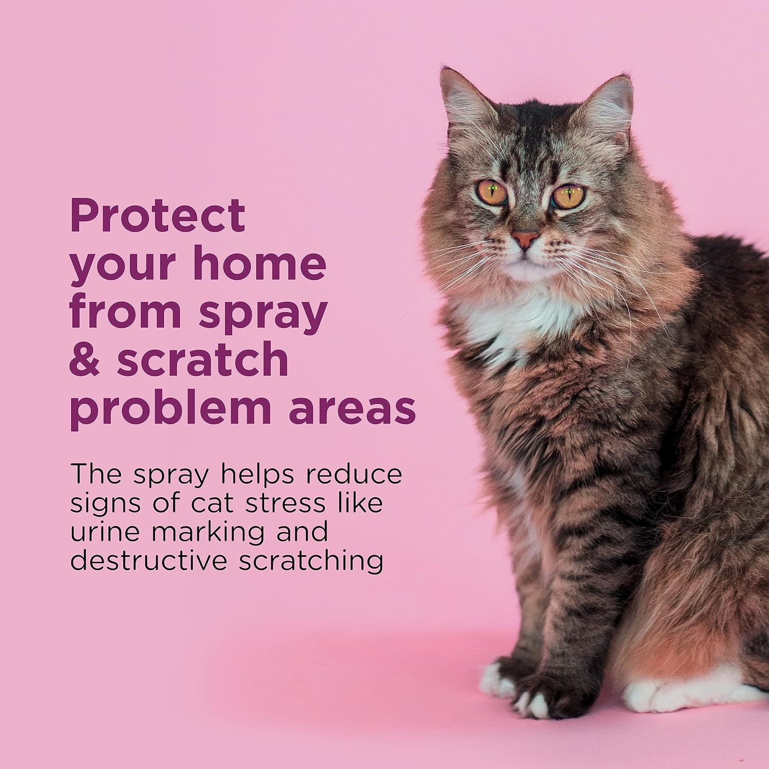 image:imageComfort Zone Cat Calming Pheromone Spray Value Size 4 oz Proven to Reduce Destructive Scratching Urine Marking and Stress4 Fluid Ounces