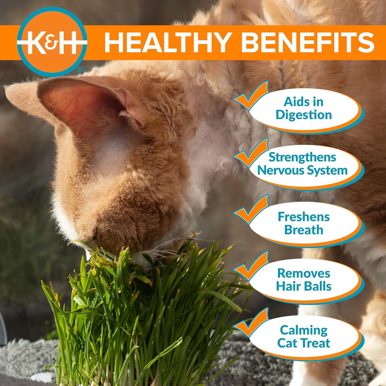 image:imageKampH Pet Products EZ Mount Cat Grass Growing Station with 1 Refill amp Comfort Zone 60 Day MultiCat Calming Diffuser Starter Kit with 2 Refills