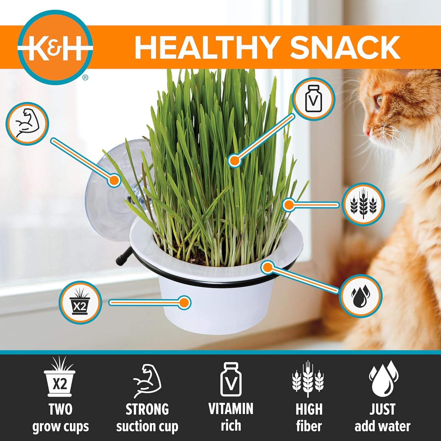 image:imageKampH Pet Products EZ Mount Cat Grass Growing Station with 1 Refill amp Comfort Zone 60 Day MultiCat Calming Diffuser Starter Kit with 2 Refills