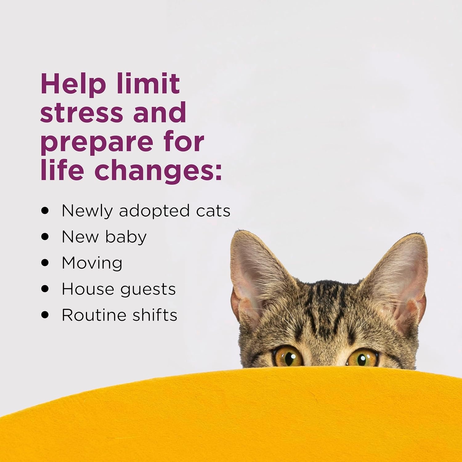 image:imageCOMFORT ZONE Cat Calming Diffuser Refill 2 Pack Cat Calming Pheromone Refills Help Reduce Anxiety Stress Scratching Urine Marking Aggression 30Day Refills 60Day Supply1 pack