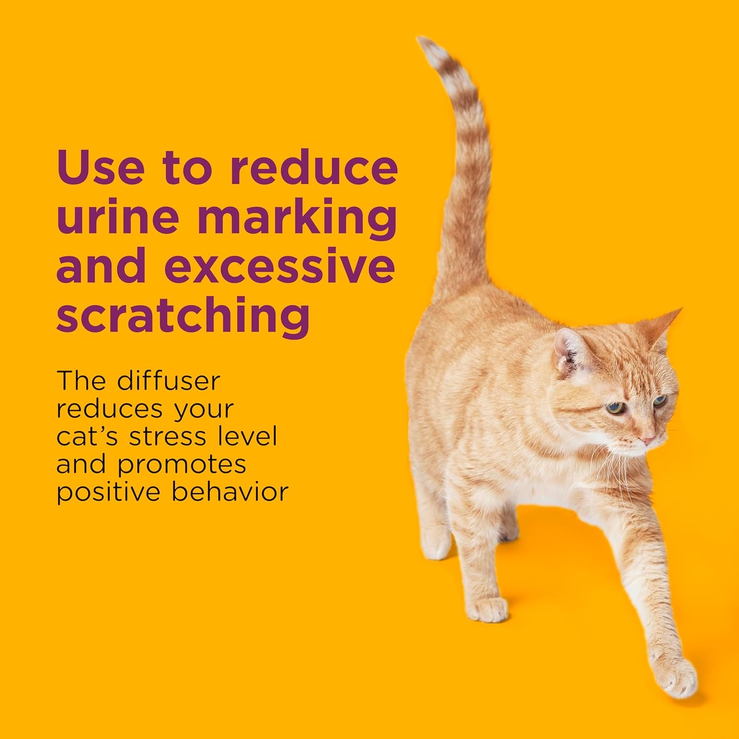 image:imageCOMFORT ZONE Multi Cat Calming Diffuser Refill 2 Pack Cat Calming Pheromone Refills Help Reduce Anxiety Stress Scratching Urine Marking MultiCat Aggression 30Day Refills 60Day Supply6Pack