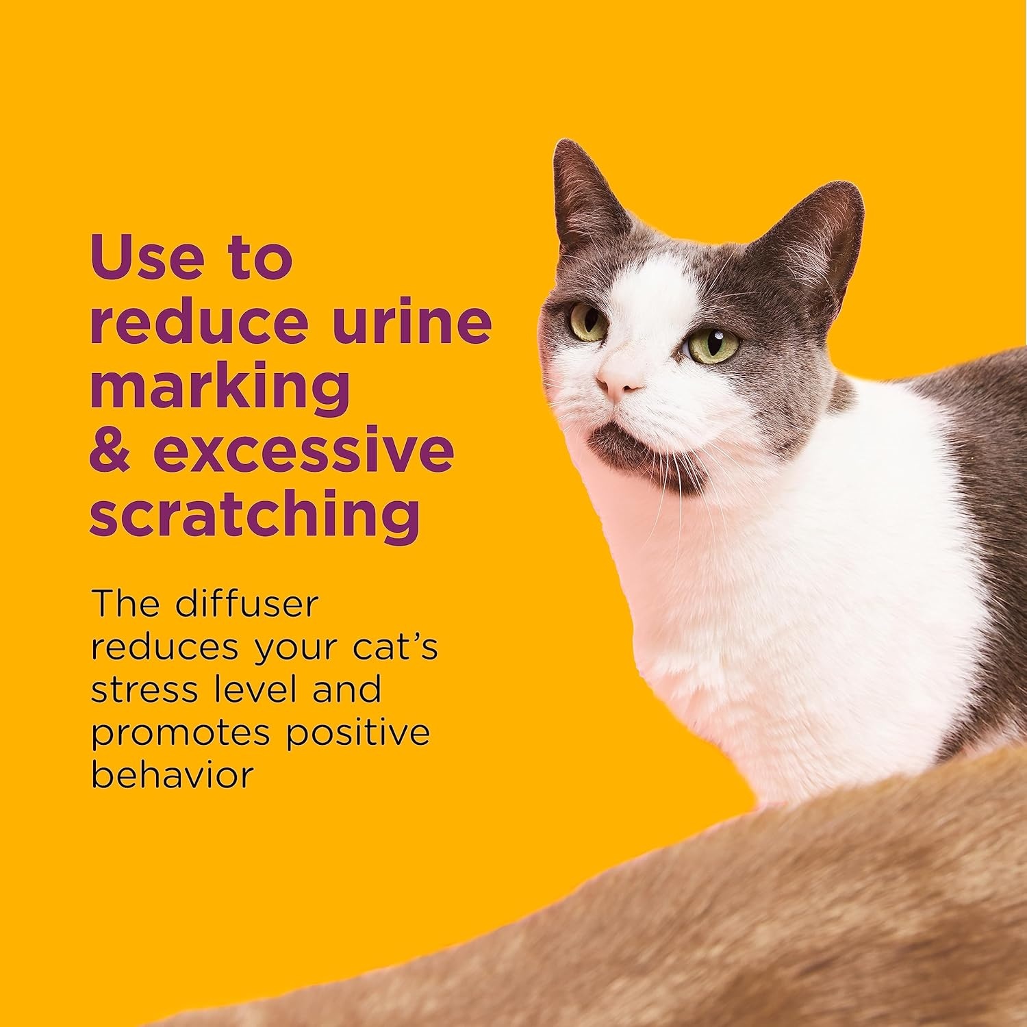 image:imageCOMFORT ZONE Value Kit 3 Multicat Diffusers amp 6 Refills Cat Calming Pheromone Reduce Stress Aggression Fighting Urine Marking Scratching1 Diffuser 1 Refill Pack of 2