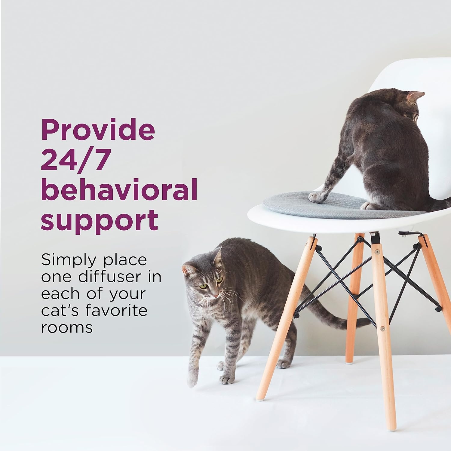 image:imageCOMFORT ZONE Value Kit 3 Multicat Diffusers amp 6 Refills Cat Calming Pheromone Reduce Stress Aggression Fighting Urine Marking Scratching1 Diffuser 1 Refill Pack of 2