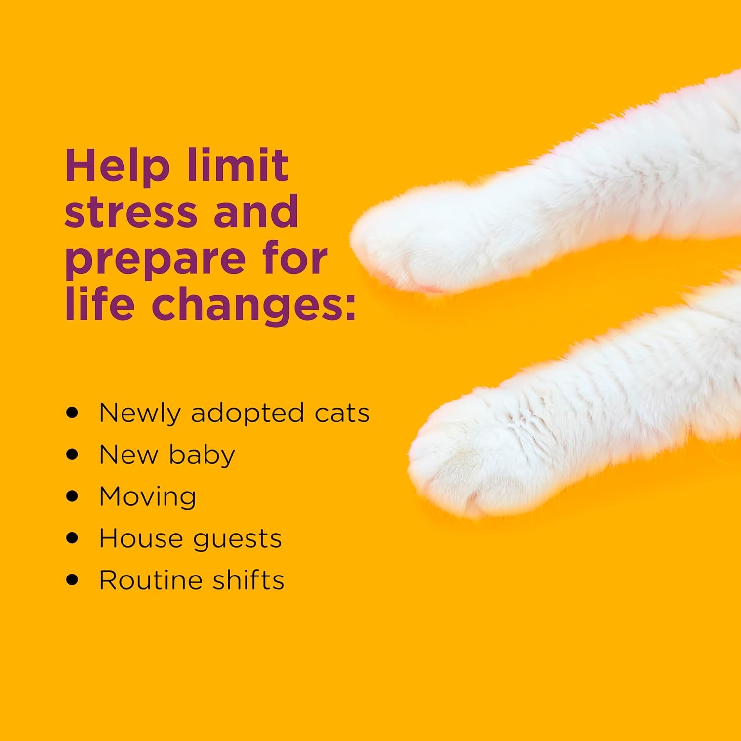 image:imageComfort Zone 60 Day Starter Kit 1 Cat Calming Diffuser amp 2 Refills Cat Pheromones Help Anxiety Reduce Stress Urine Marking Scratching1 Diffuser 2 Refills